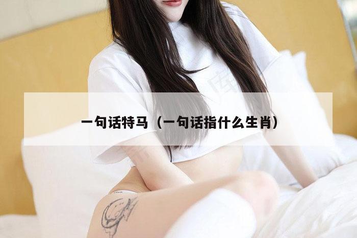 一句话特马(一句话指什么生肖)